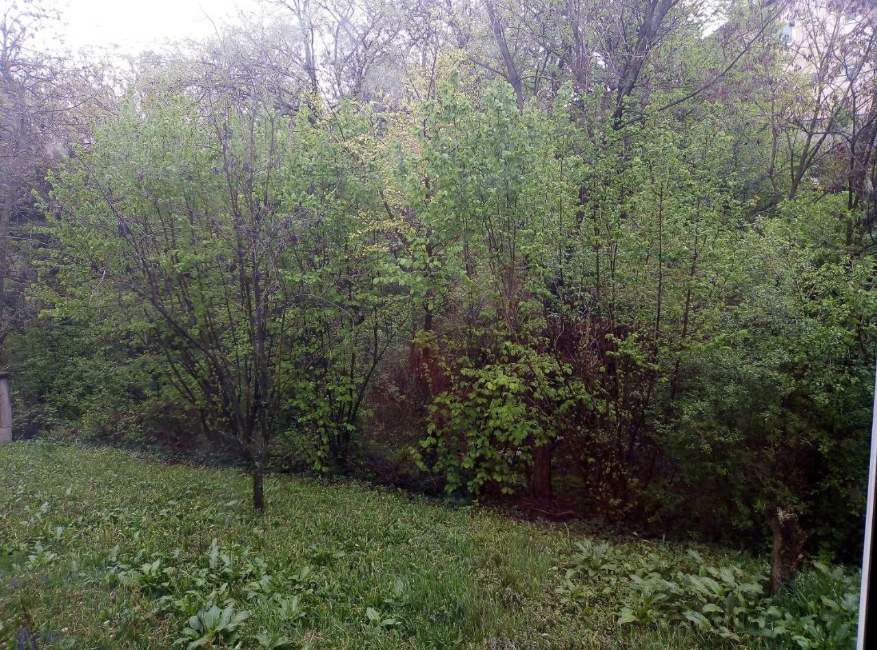 Apartman Miljkovic Arandjelovac Luaran gambar